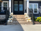 E. Pearl Package