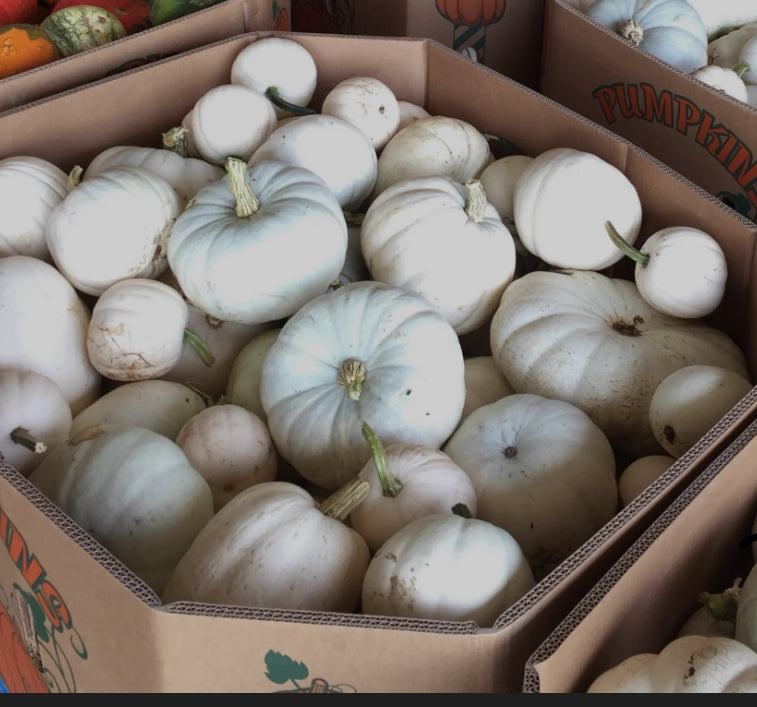 E. Assorted Pumpkin Drop